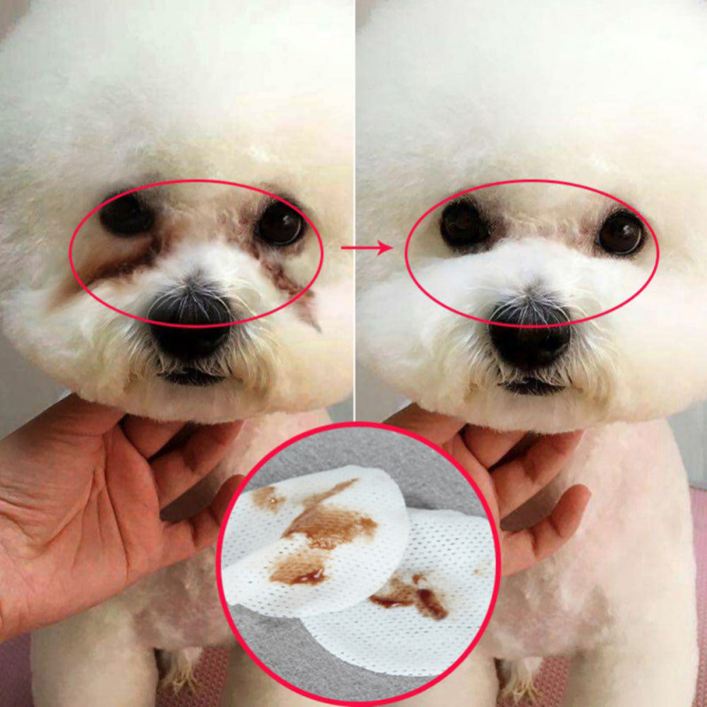 Hygienic Grooming Pet Wipes