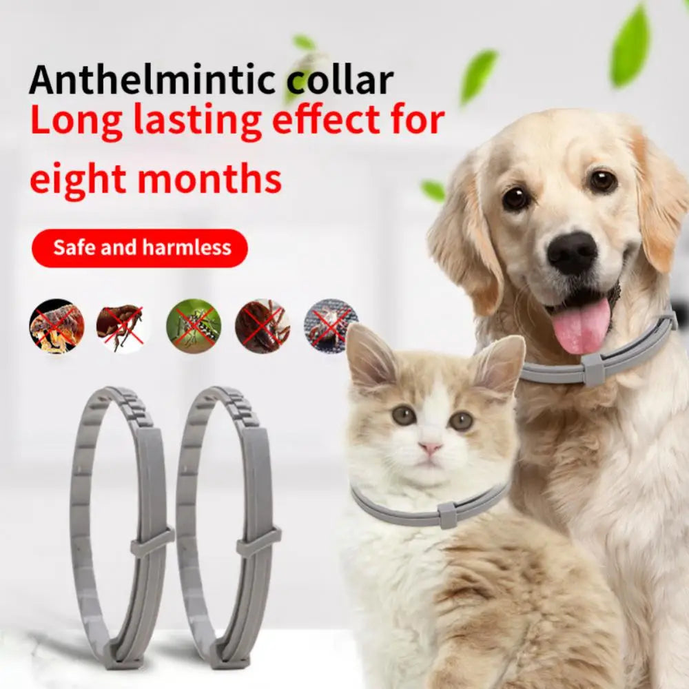 Pet Dog Cat Anti Flea And Ticks Deworming Collar Pet 8Month Protection